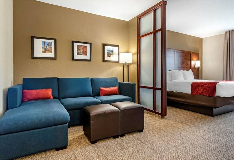 Люкс, Comfort Suites Airport