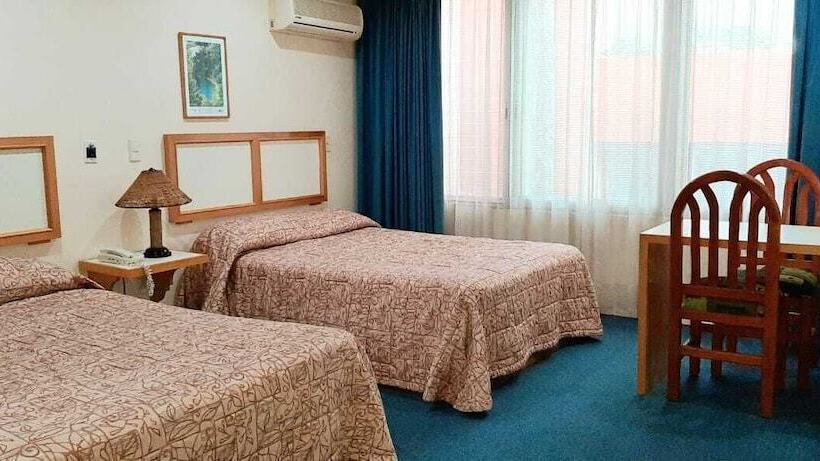 Habitació Executiva, Oliva Plaza