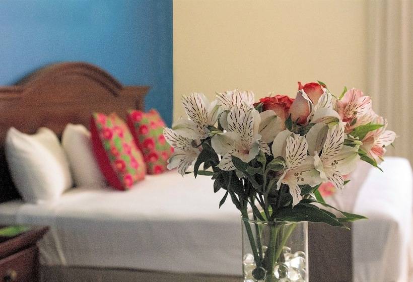 Junior Suite, Plaza Campeche