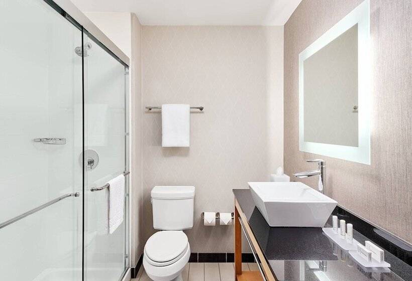 2 Bedroom Suite Mountain View, Springhill Suites By Marriott Roanoke