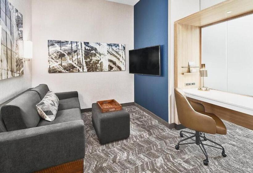 キングサイズベッドのスイートルーム, Springhill Suites By Marriott Roanoke