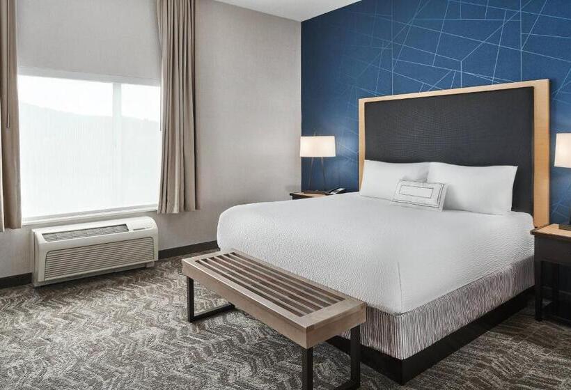 キングサイズベッドのスイートルーム, Springhill Suites By Marriott Roanoke