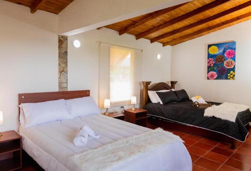 Номер Стандарт 2 Двуспальные Кровати, Villa Claudia