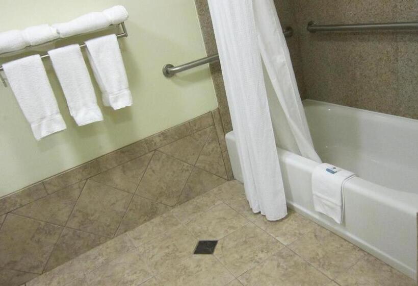 Номер Стандарт Кровать Кинг Адаптированный для Инвалидов, Best Western Butner Creedmoor Inn