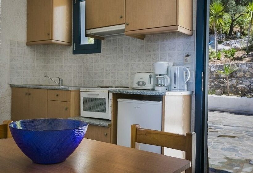 스탠다드 스튜디오 바다 전망, Metaxatos Apartments