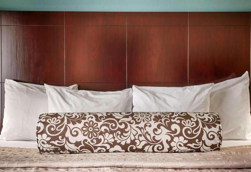 Стандартный Номер Кровать Кинг, Best Western Plus Katy Inn And Suites