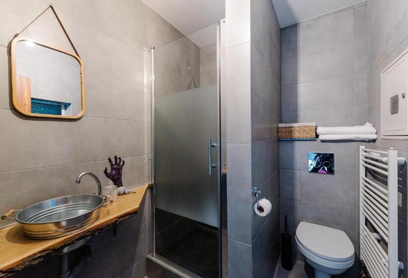 اتاق استاندارد, Petra Inn Apartments In Historical Palace Bratislava