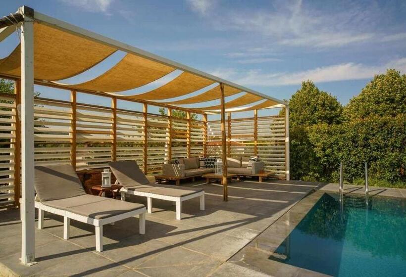Номер Стандарт, Alba Morus Bed E Breakfast Sentiti A Casa Nel Cuore Della Toscana