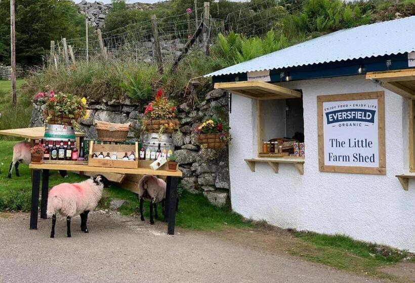 Номер Стандарт, Dartmoor Inn