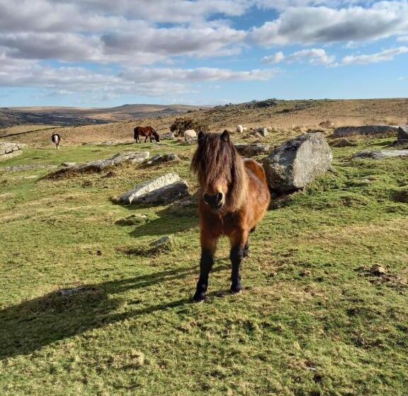Standard room with outdoor bath, Dartmoor Inn