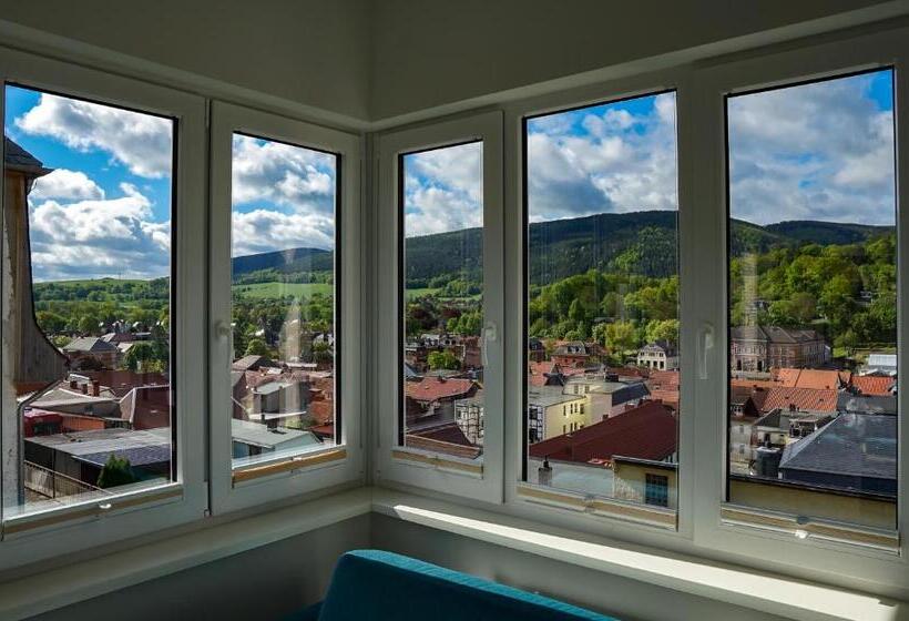 Номер Deluxe Одноместный, Villa Frieden Hotel & Seminarhaus