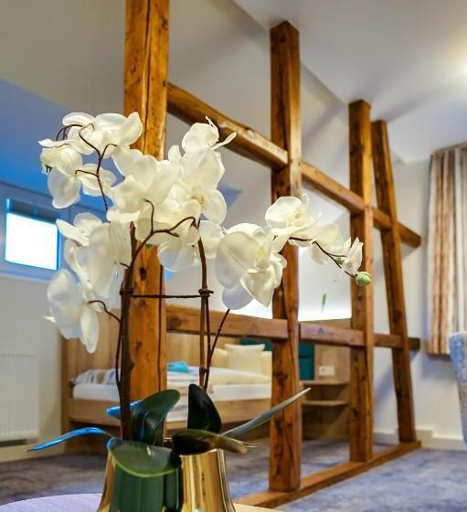 Номер Deluxe, Villa Frieden Hotel & Seminarhaus
