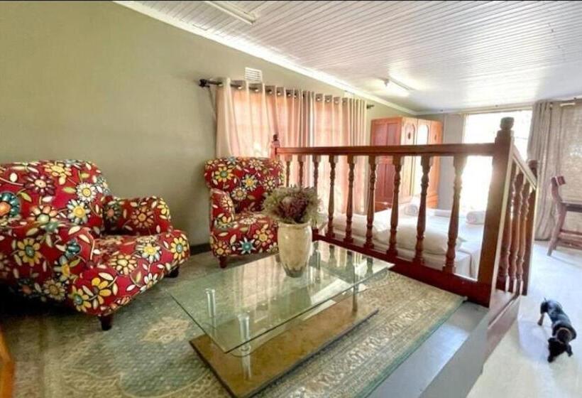 스탠다드 룸 킹사이즈 침대, Kameeldoring Guest House