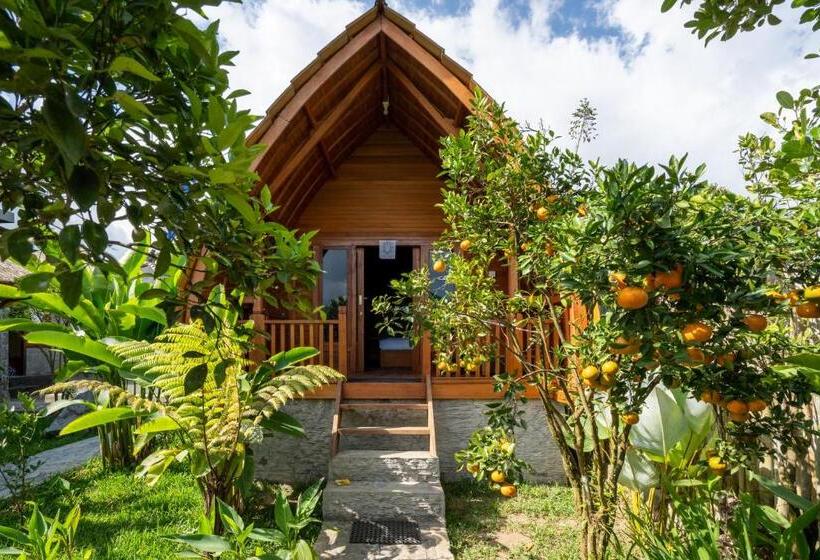 Бунгало Стандарт Вид на Сад, Sandan Agro Resort Kintamani