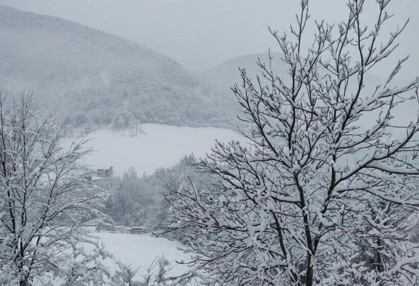 스탠다드 룸 산 전망, Agriturismo Green Valley