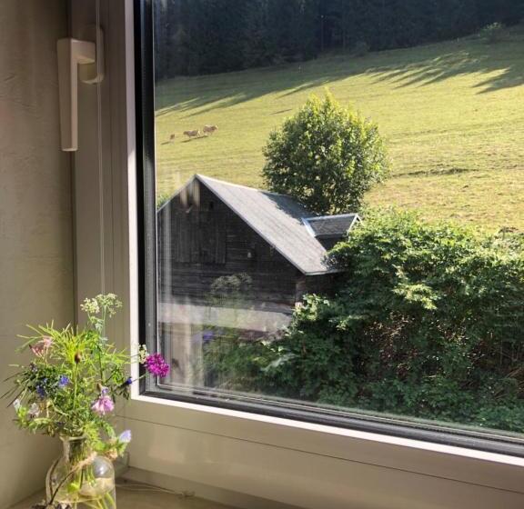 Номер Стандарт, Familienpension Obere Juchhe, Ferienwohnung Und Zimmer