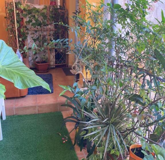 اتاق لوکس, Casal Banco De Felanitx,habitaciones Privadas
