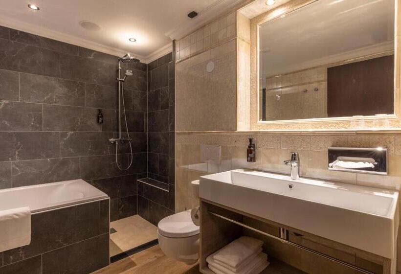 Королевский Люкс, Fletcher Familiehotel De Hunzebergen