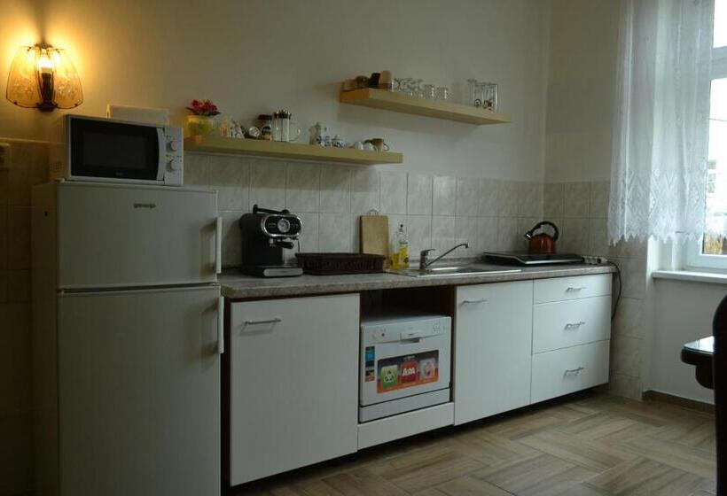Апартаменты Superior 1 Спальня, Apartments  Vintag  Teplice