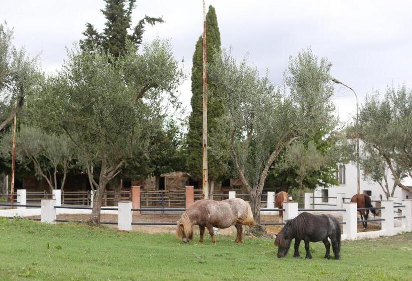 Студио Стандарт Кровать Кинг, Masia Can Rovira   Esc1852