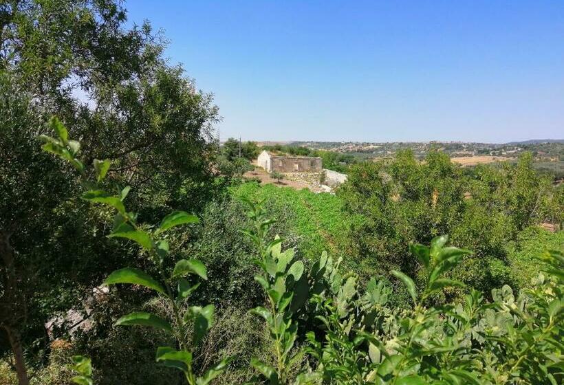 Номер Стандарт, Poggio Del Gallo