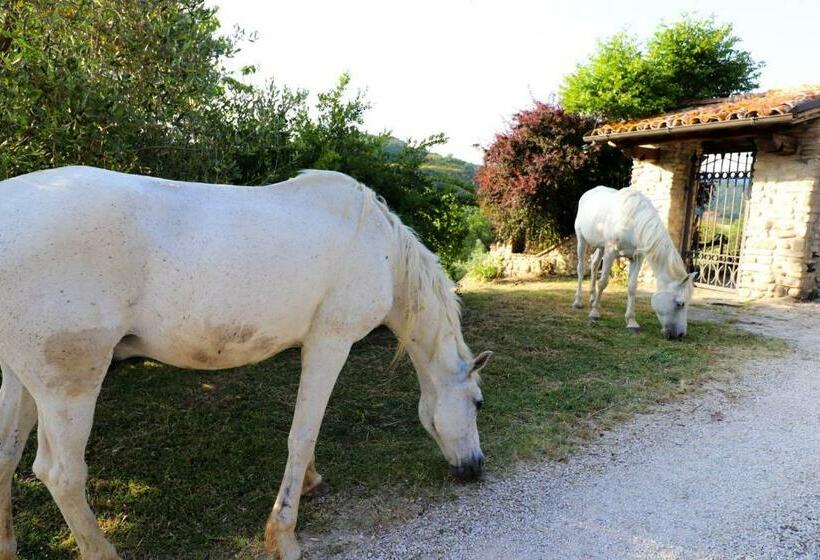 Семейный Номер, Agriturismo La Tana