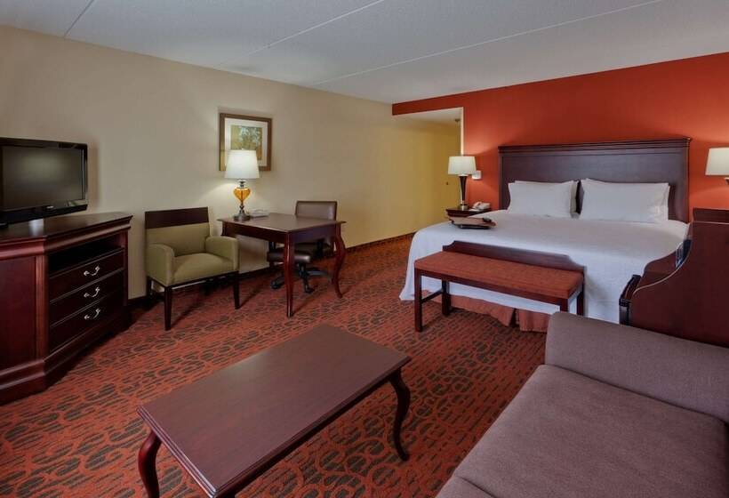 Студио Стандарт Кровать Кинг, Hampton Inn Rochesterwebster