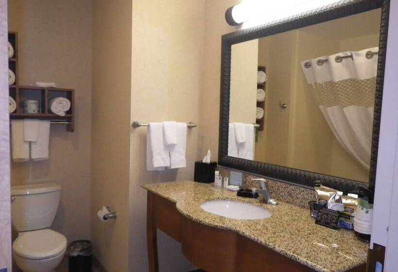 Номер Стандарт, Hampton Inn & Suites Buffalo