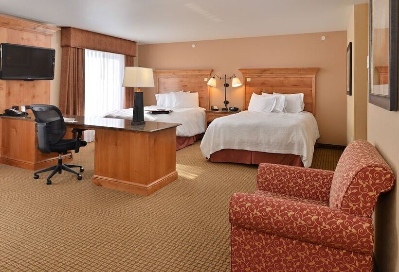 Студия Стандарт, Hampton Inn & Suites Buffalo