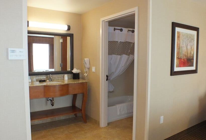 Студия Стандарт, Hampton Inn & Suites Buffalo