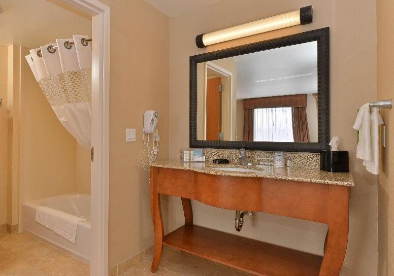 Студио Стандарт Кровать Кинг, Hampton Inn & Suites Buffalo