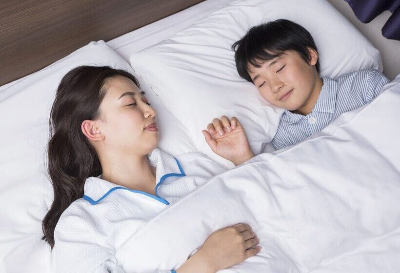 غرفة قياسية, Comfort Hotel Hakodate