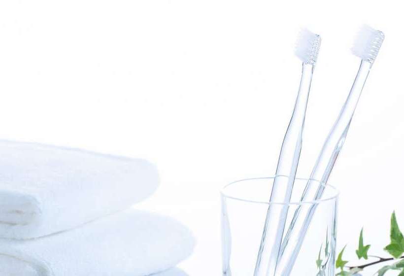 غرفة سوبيريور, Comfort Hotel Hakodate