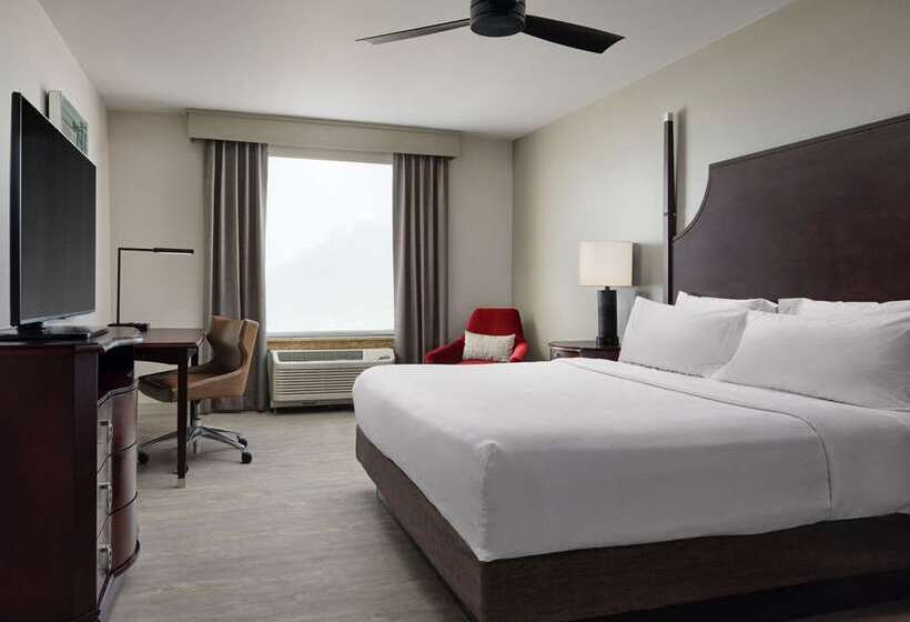 Номер Стандарт, Embassy Suites By Hilton Birmingham Hoover