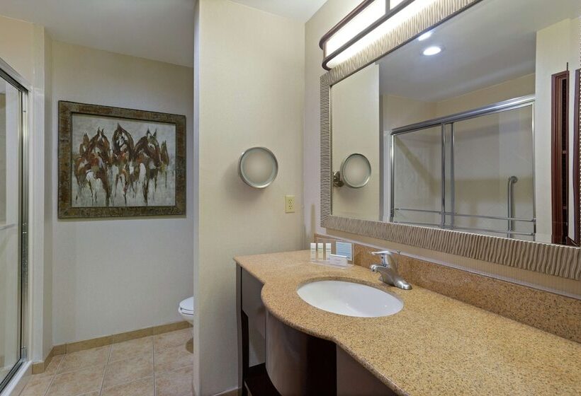 Номер Стандарт 2 Двуспальные Кровати, Hampton Inn & Suites Wellington