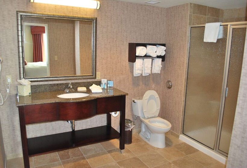 Люкс, Hampton Inn & Suites Phoenix/gilbert