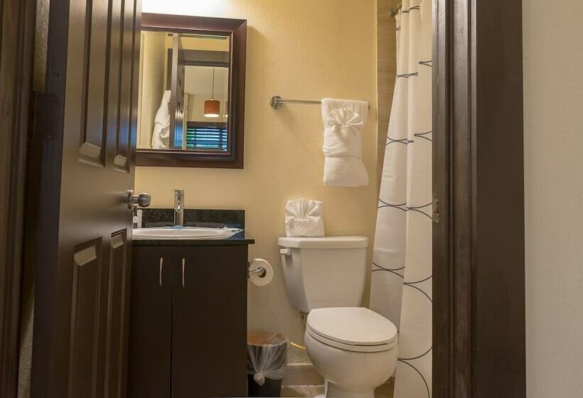 דירת שני חדרים, Tradewinds Apartment Hotel Miami Beach