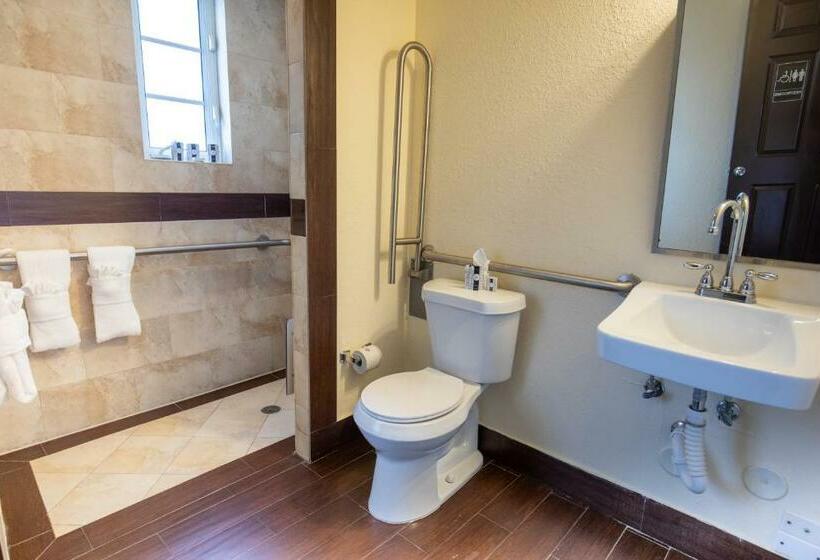 חדר סטודיו סטנדרד, Tradewinds Apartment Hotel Miami Beach