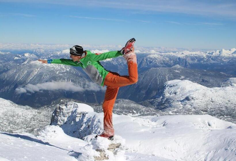 Номер Стандарт с Балконом, Sportpension Schober