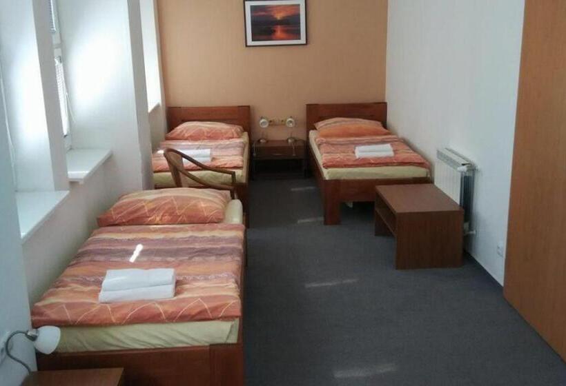 Номер Стандарт, Lipovka Penzion