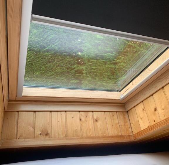 이코노미 룸, Puur B&b