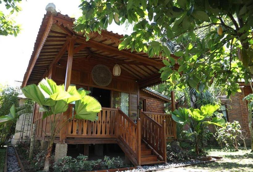 带泳池观景的豪华房, Mirah Guest House