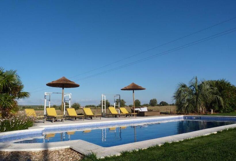 Номер Стандарт, Quinta Dos Doze Sobreiros   Quarto Sol