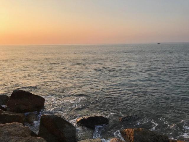 آپارتمان 1 خوابه با چشم‌انداز دریا, Pmy Beach Resort