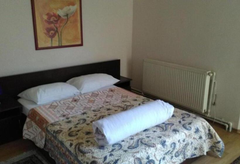 اتاق سوپریور, Pensiunea Sena Focsani