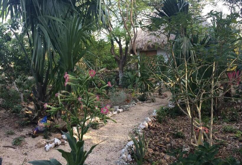 标准间, Mayan Bungalow Near Chichén