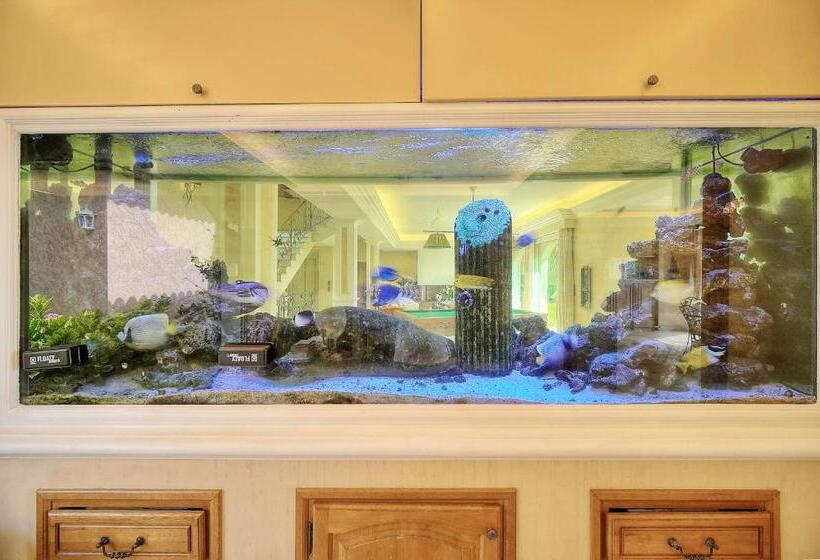 Номер Стандарт Вид на Сад, Havre De Paix 5 étoiles Prestige Jacuzzi, Hammam, Sauna, Piscine Chauffée Mougins Cannes Grasse