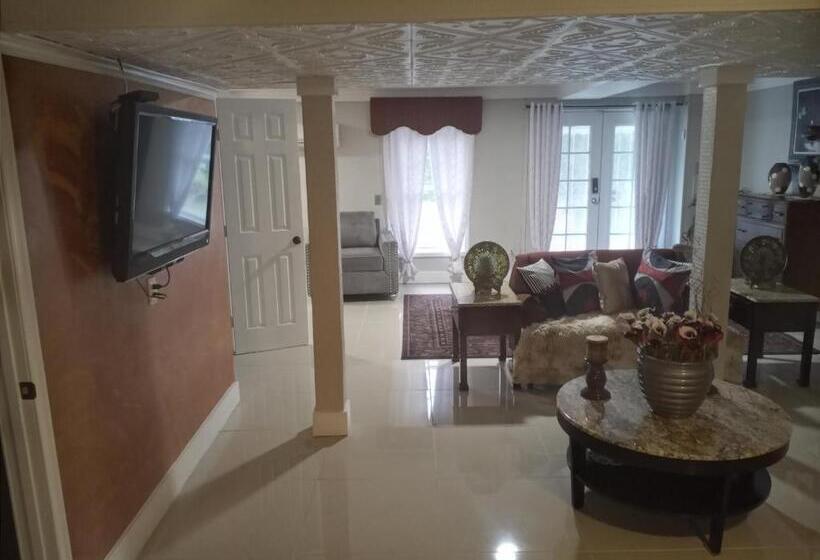Студия Deluxe, Cozy Mobay