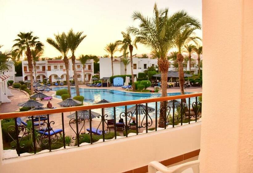 Deluxe Szoba, Dive Inn Resort