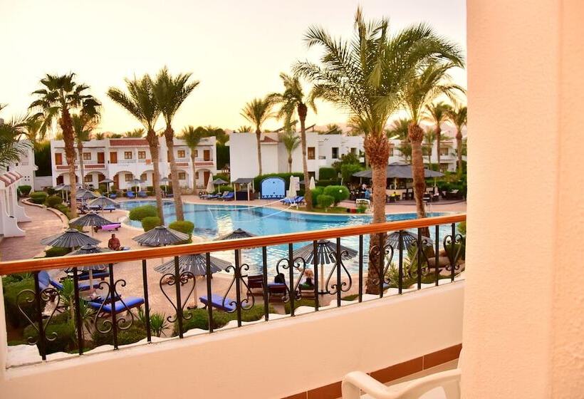 Standard Szoba, Dive Inn Resort